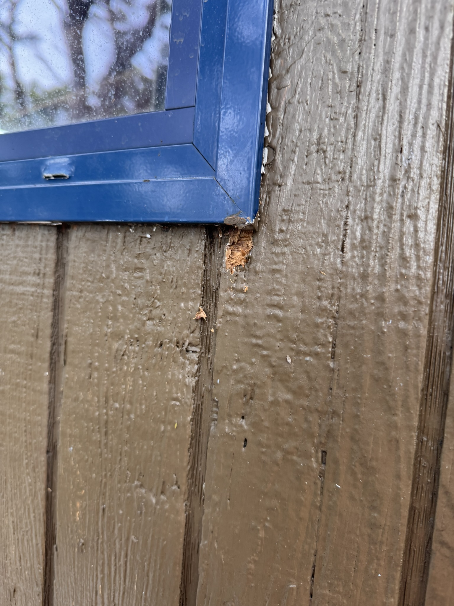 Open junction and timber deterioration beside an exterior window frame