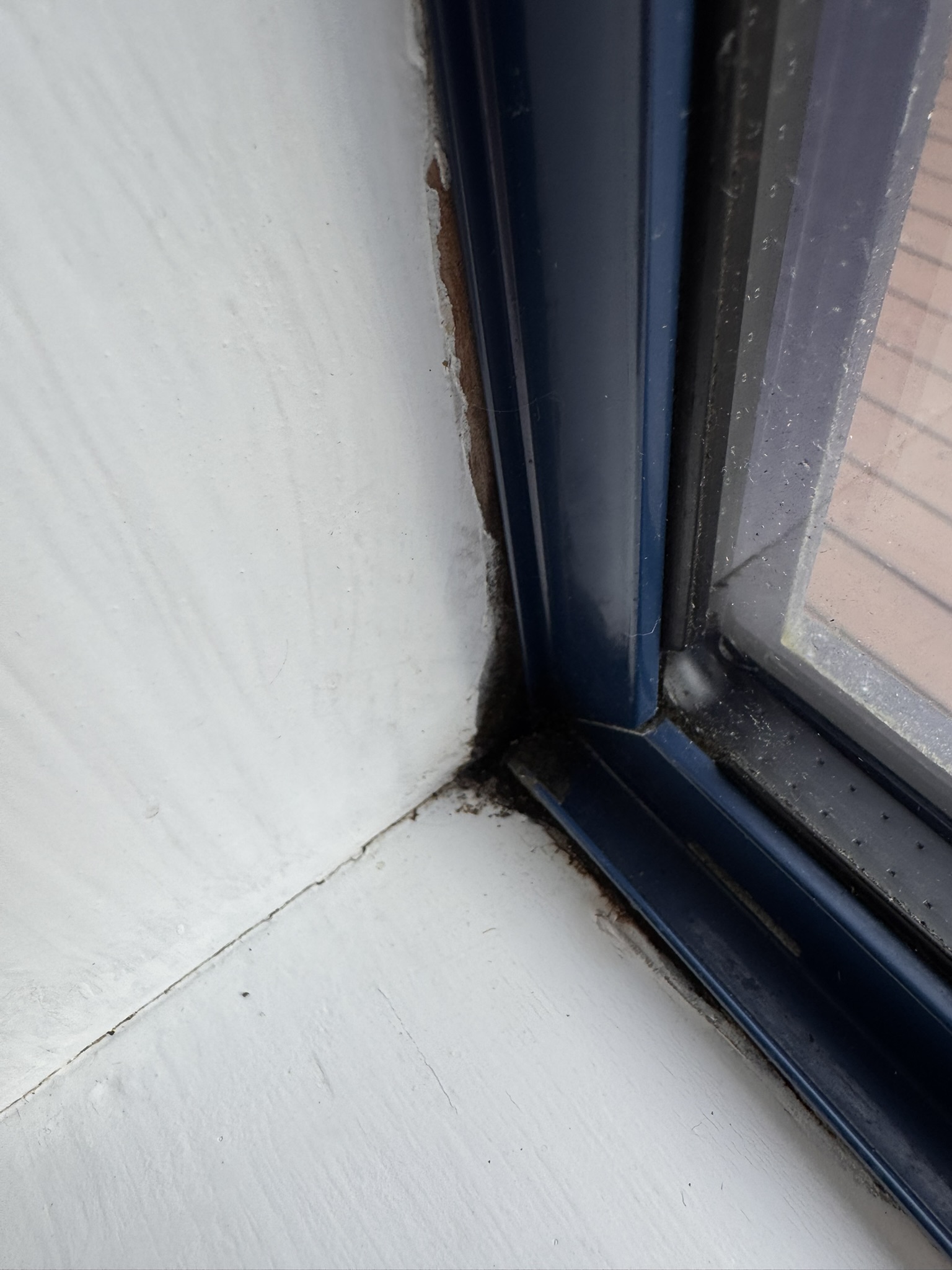 Moisture-related deterioration beside the internal window jamb